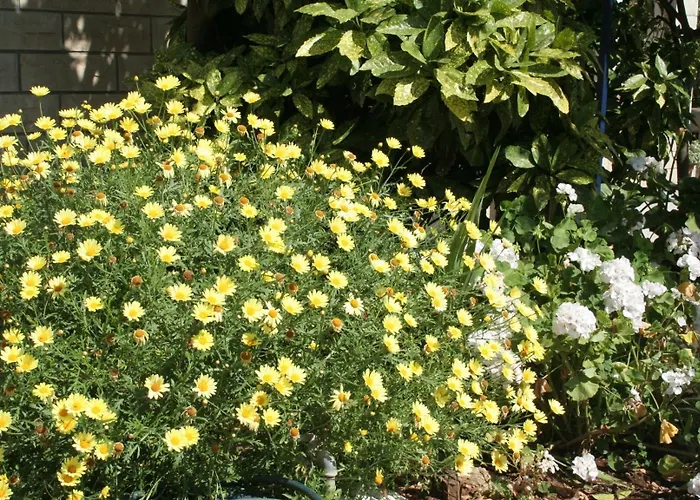 With Parking Space Orebic, Peljesac - 4554 公寓